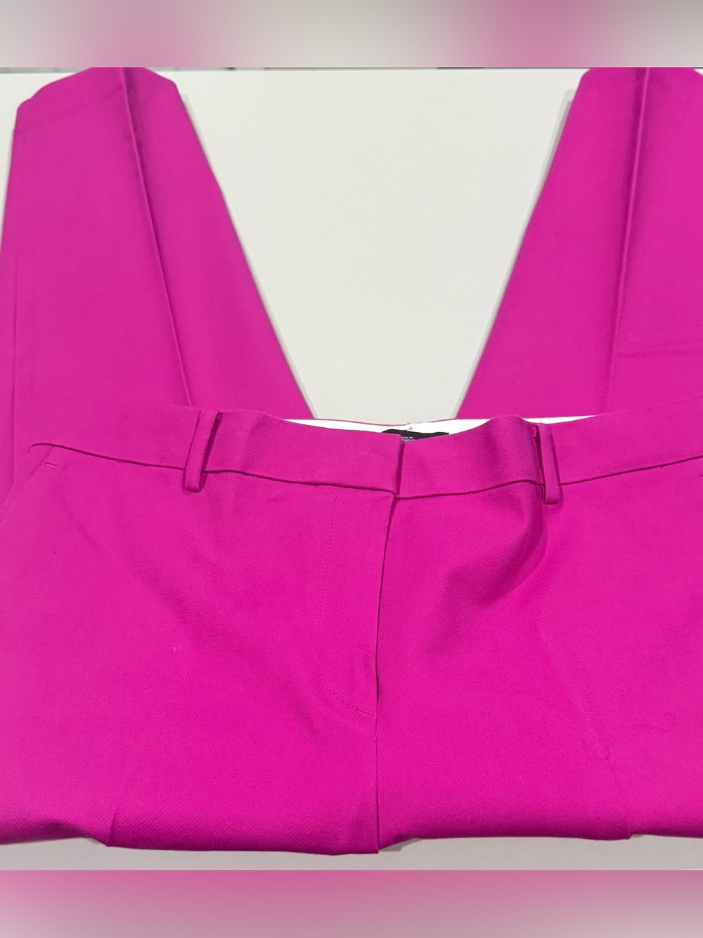 Ann Taylor Hot Pink Tailored ankle pants Size 12P  Beautiful and in like new con